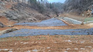 홍반장님의 자유주제·자유게시판 작성글 사진