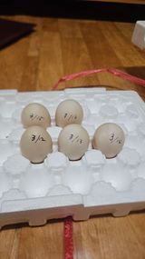 팜모닝 자유주제·자유게시판 게시글 이미지