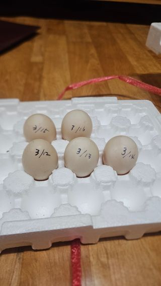 어설픈촌넘님의 자유주제 · 자유게시판 작성글 사진