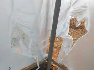 박웅님의 자유주제 · 자유게시판 작성글 사진