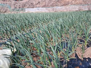 윤형곤님의 자유주제 · 자유게시판 작성글 사진