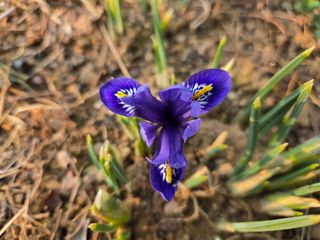 들꽃농장님의 자유주제 · 자유게시판 작성글 사진