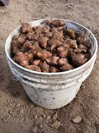 이갑덕님의 자유주제 · 자유게시판 작성글 사진