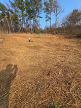 팜모닝 자유주제·자유게시판 게시글 이미지