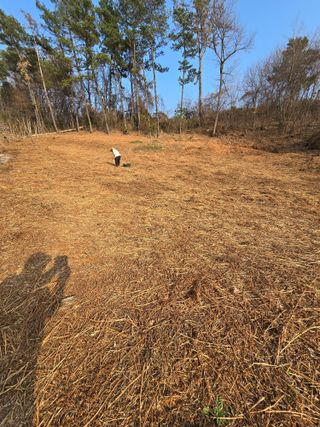 참깨김성욱9810님의 자유주제 · 자유게시판 작성글 사진