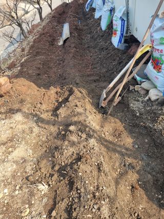 김용대님의 자유주제 · 자유게시판 작성글 사진