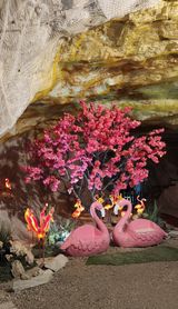 팜모닝 자유주제·자유게시판 게시글 이미지