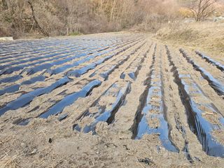 백용기님의 자유주제 · 자유게시판 작성글 사진