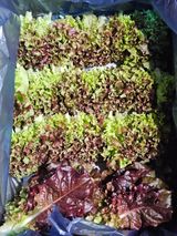 종일님의 자유주제·자유게시판 작성글 사진