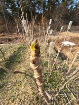 팜모닝 자유주제·자유게시판 게시글 이미지