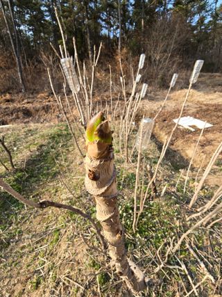 참깨김성욱9810님의 자유주제 · 자유게시판 작성글 사진