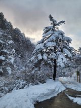 팜모닝 자유주제·자유게시판 게시글 이미지