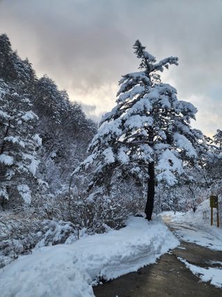 손을선님의 자유주제·자유게시판 작성글 사진