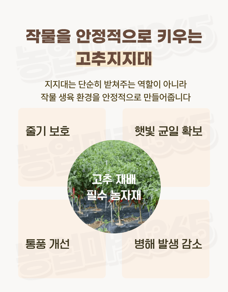농업마켓365님의 장터 판매 상품 [농업마켓365 국산 고추지지대 1M 100개 엠보싱지지대] 첨부 사진