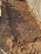 조경준님의 자유주제·자유게시판 작성글 사진