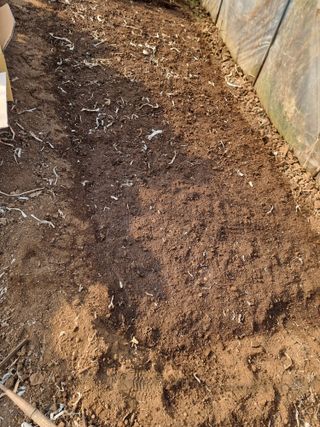 조경준님의 자유주제 · 자유게시판 작성글 사진