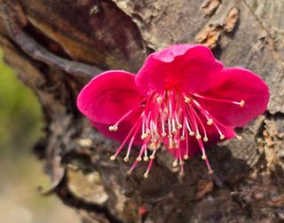 안길원님의 자유주제 · 자유게시판 작성글 사진