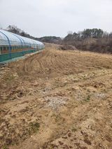 행운농부님의 자유주제·자유게시판 작성글 사진