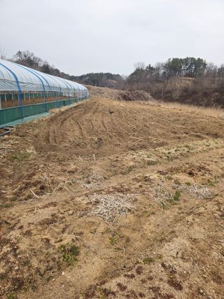 행운농부님의 자유주제 · 자유게시판 작성글 사진