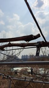 주윤발이님의 자유주제·자유게시판 작성글 사진