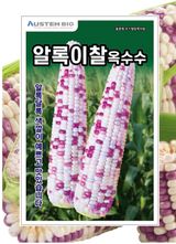 대산농사대장님의 옥수수·자유게시판 작성글 사진