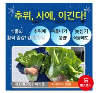 대산농사대장님의 작성글 사진