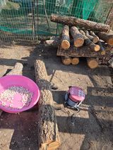 팜모닝 자유주제·자유게시판 게시글 이미지