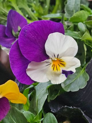 종일님의 자유주제 · 자유게시판 작성글 사진