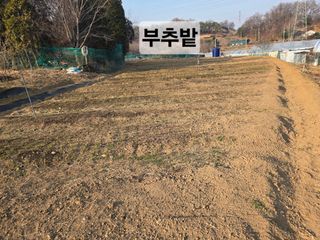 들꽃농장님의 자유주제 · 자유게시판 작성글 사진