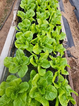 종일님의 자유주제 · 자유게시판 작성글 사진