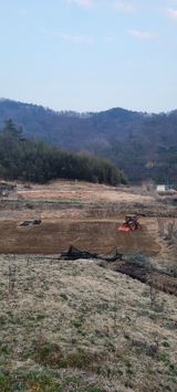 서녕영더기님의 자유주제·건의해요 작성글 사진