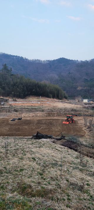 서녕영더기님의 자유주제 · 건의해요 작성글 사진