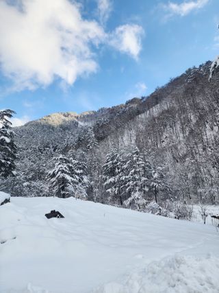 손을선님의 자유주제 · 자유게시판 작성글 사진