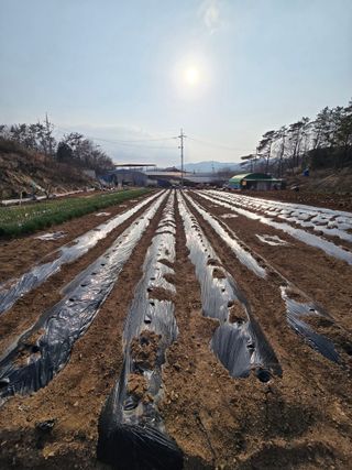 참깨김성욱9810님의 자유주제 · 자유게시판 작성글 사진