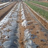 나누고싶어서님의 자유주제·자유게시판 작성글 사진