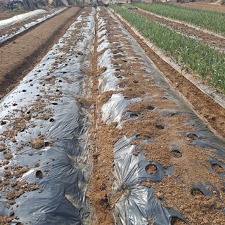 나누고싶어서님의 자유주제 · 자유게시판 작성글 사진