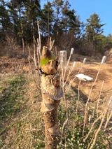 참깨김성욱9810님의 자유주제·자유게시판 작성글 사진