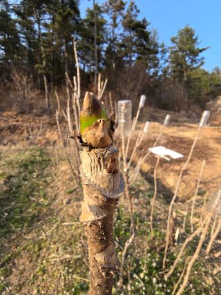 참깨김성욱9810님의 자유주제 · 자유게시판 작성글 사진