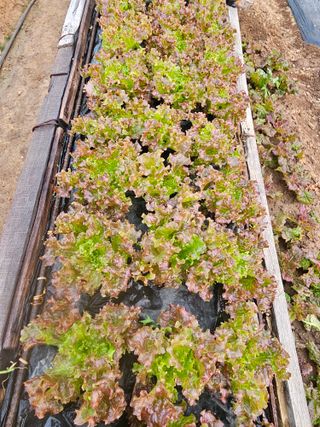 종일님의 자유주제 · 자유게시판 작성글 사진