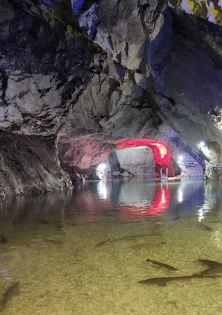 하은와송~♡♡♡~님의 자유주제 · 자유게시판 작성글 사진