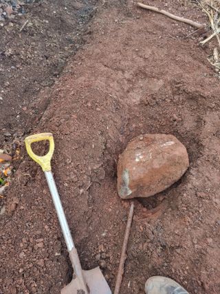 김용대님의 자유주제 · 자유게시판 작성글 사진