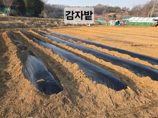 들꽃농장님의 자유주제 · 자유게시판 작성글 사진