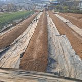 나누고싶어서님의 자유주제·자유게시판 작성글 사진