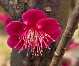 안길원님의 자유주제·자유게시판 작성글 사진