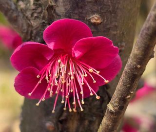 안길원님의 자유주제 · 자유게시판 작성글 사진