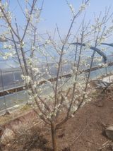 팜모닝 자유주제·자유게시판 게시글 이미지