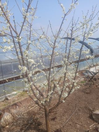 서재현님의 자유주제 · 자유게시판 작성글 사진