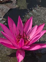 팜모닝 자유주제·자유게시판 게시글 이미지