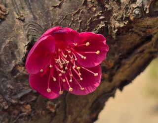 안길원님의 자유주제 · 자유게시판 작성글 사진