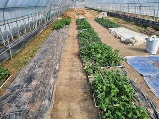 선성곤님의 자유주제 · 사진전 작성글 사진